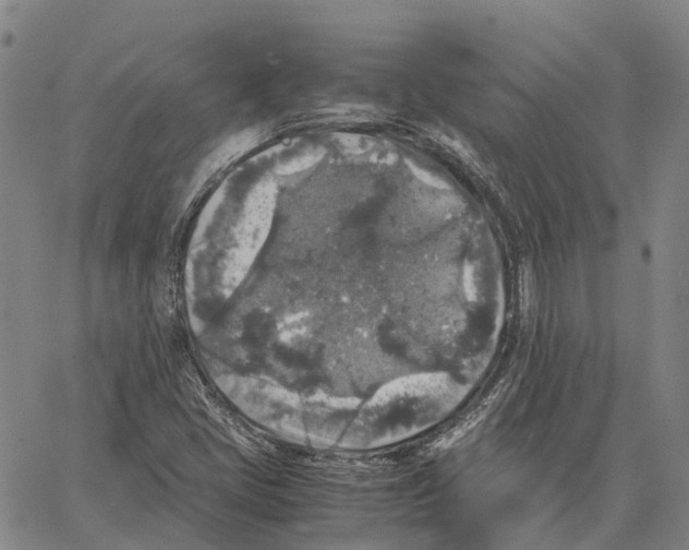 X0000062651405200601181758