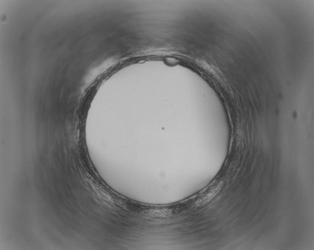 X0000062651406200601181758