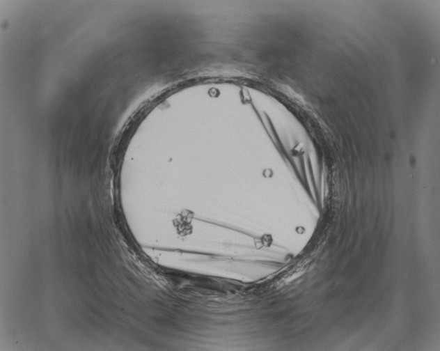 X0000062651408200601181758