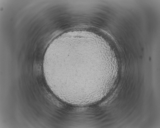 X0000062651409200601181758