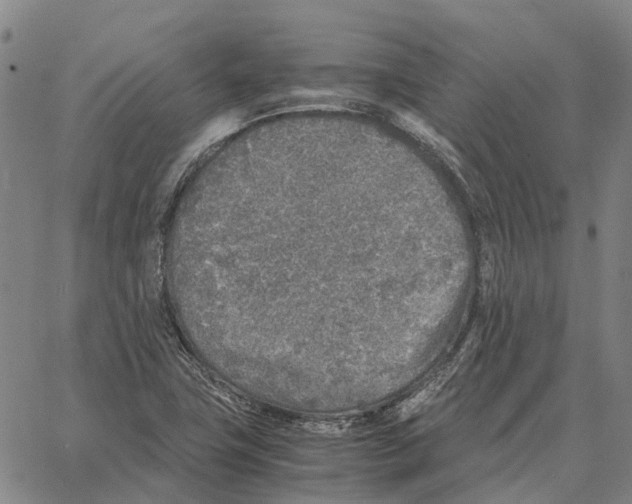 X0000062651411200601181758