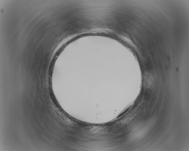 X0000062651412200601181758