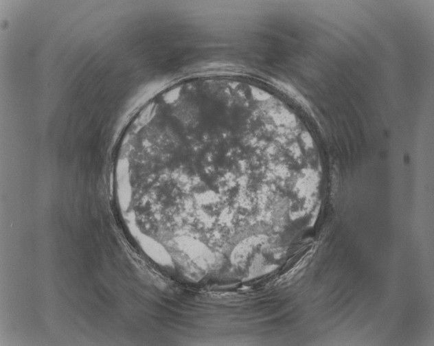 X0000062651413200601181758