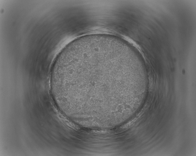 X0000062651415200601181758