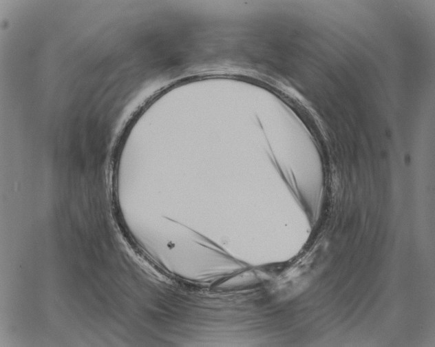 X0000062651416200601181758