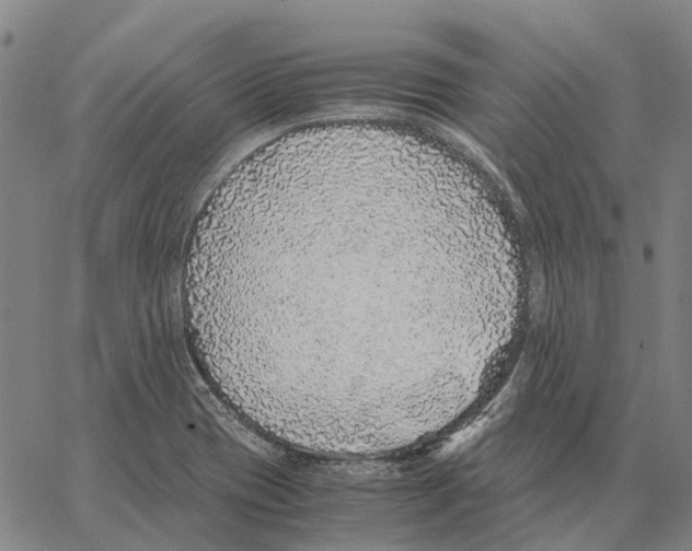 X0000062651417200601181758