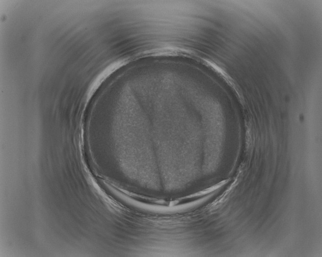 X0000062651418200601181758