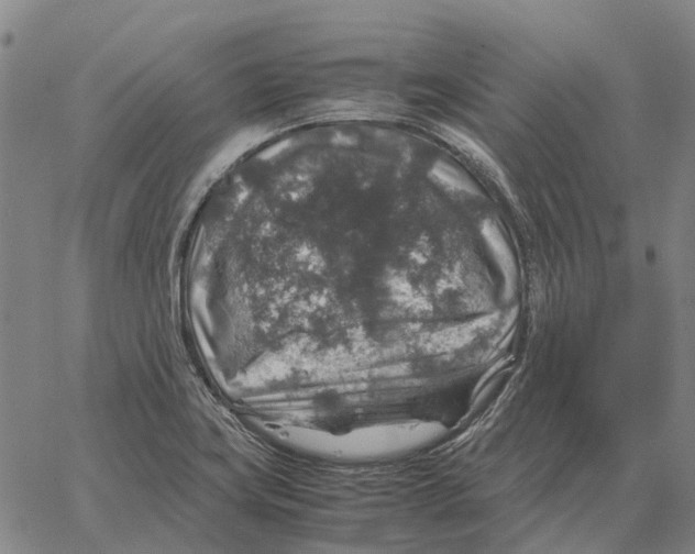 X0000062651419200601181758