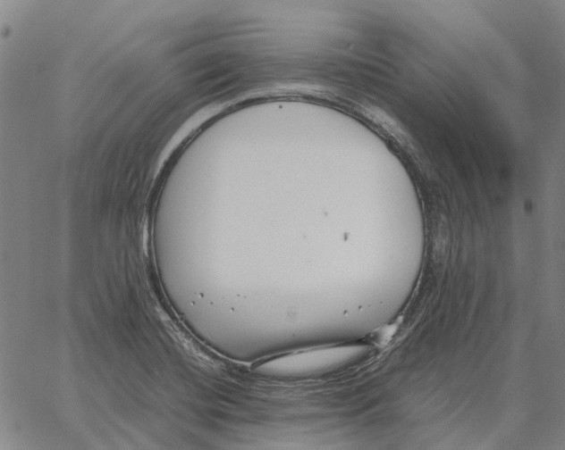 X0000062651420200601181758