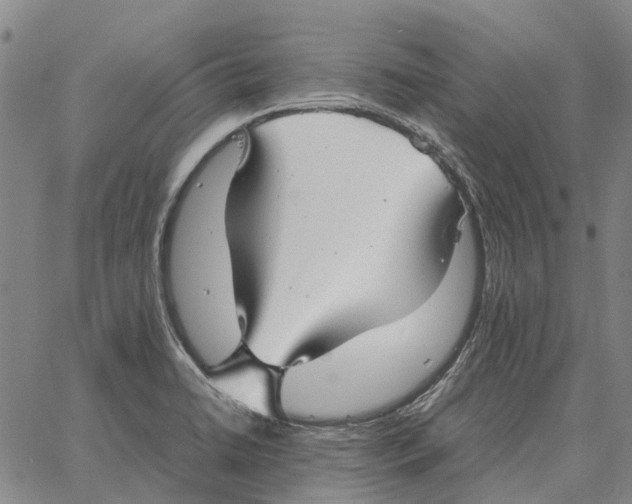 X0000062651422200601181758