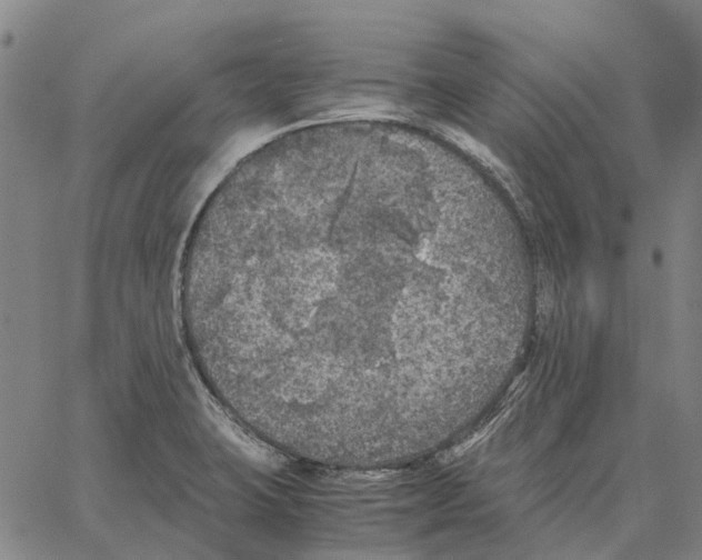 X0000062651423200601181758