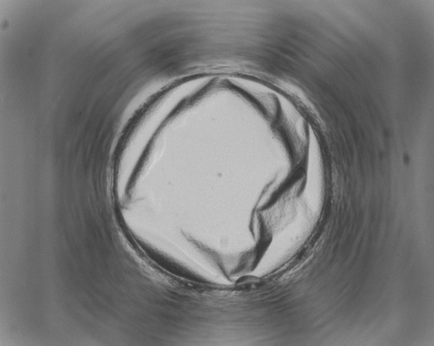 X0000062651424200601181758