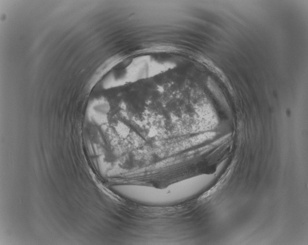 X0000062651425200601181758