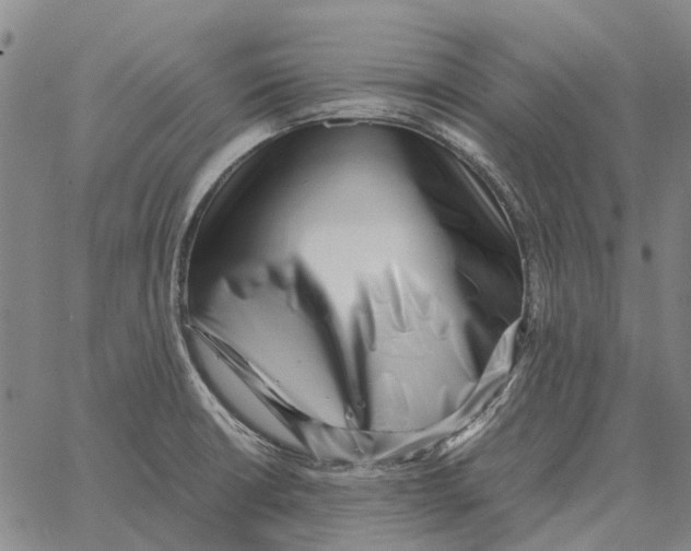 X0000062651426200601181758