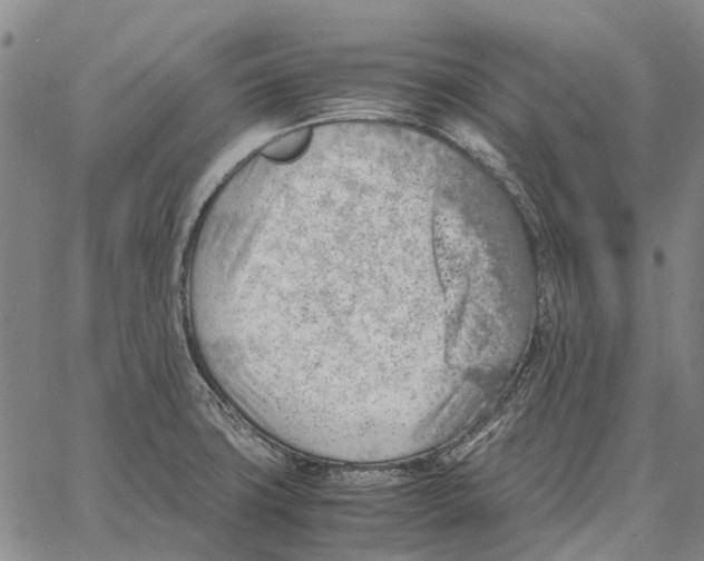 X0000062651427200601181758