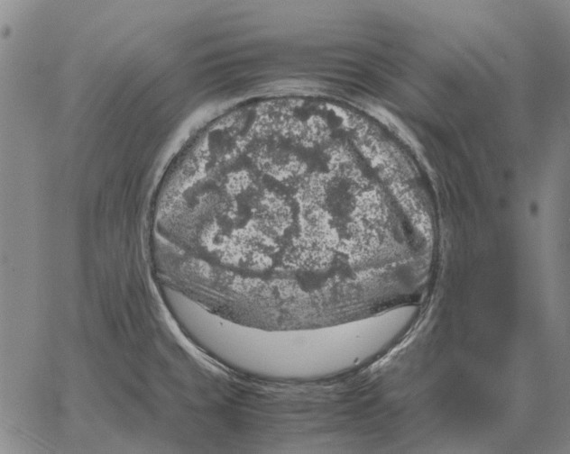 X0000062651429200601181758