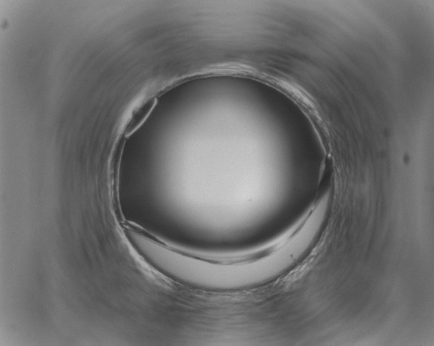 X0000062651430200601181759