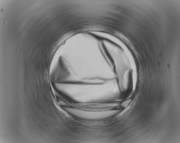 X0000062651433200601181759