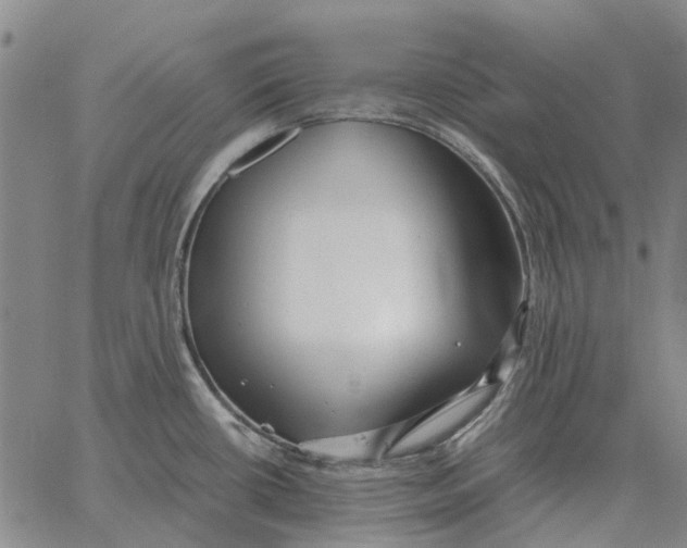 X0000062651434200601181759