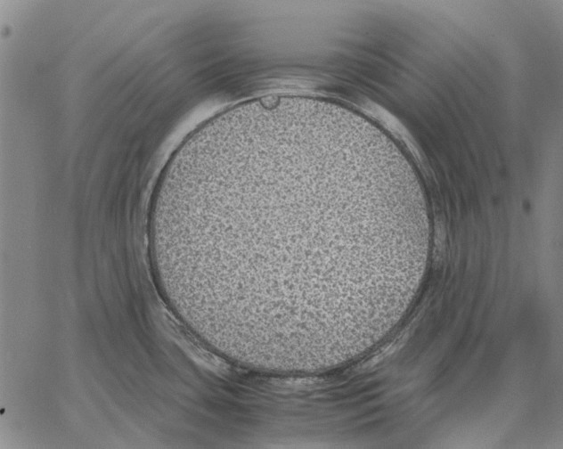 X0000062651435200601181759