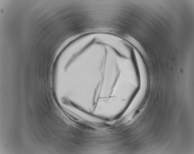 X0000062651436200601181759