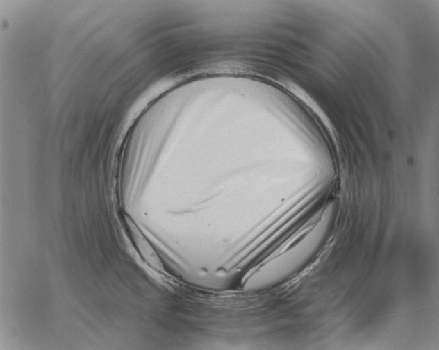 X0000062651437200601181759