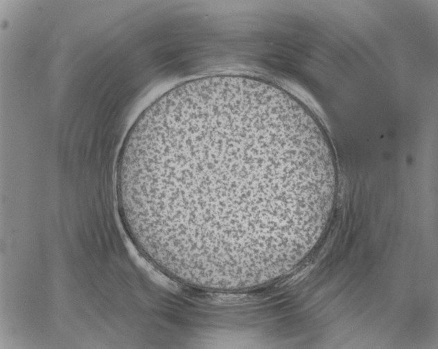 X0000062651439200601181759