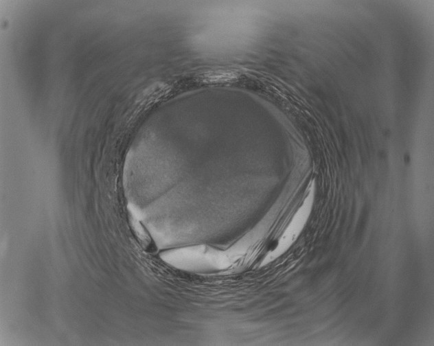 X0000062651441200601181758