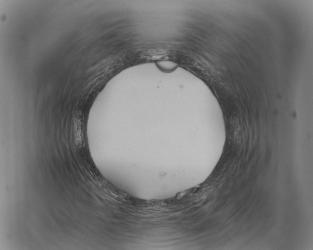 X0000062651442200601181758