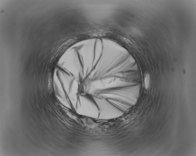 X0000062651444200601181758