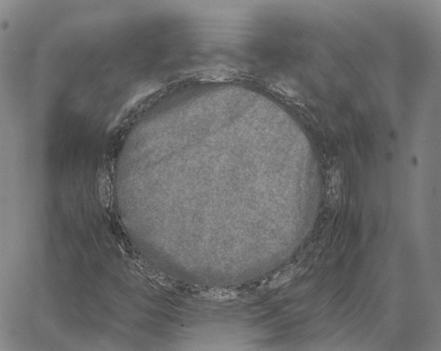 X0000062651446200601181758