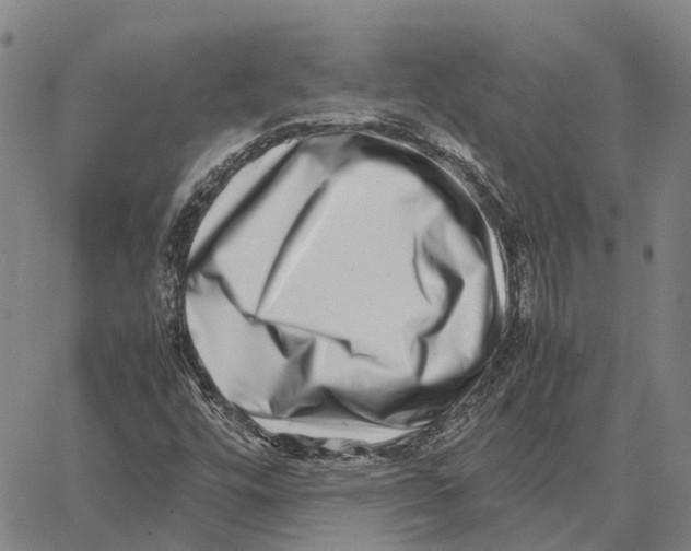 X0000062651448200601181758