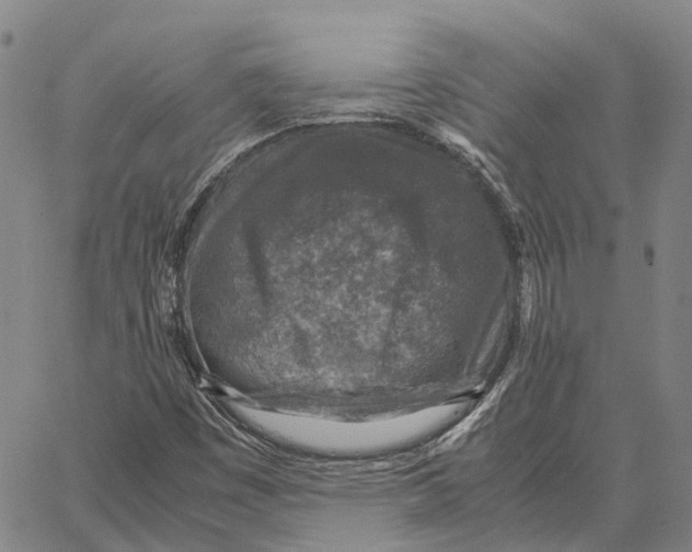 X0000062651449200601181758