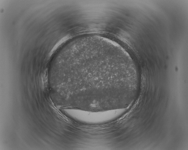 X0000062651450200601181758