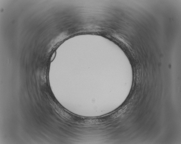 X0000062651451200601181758