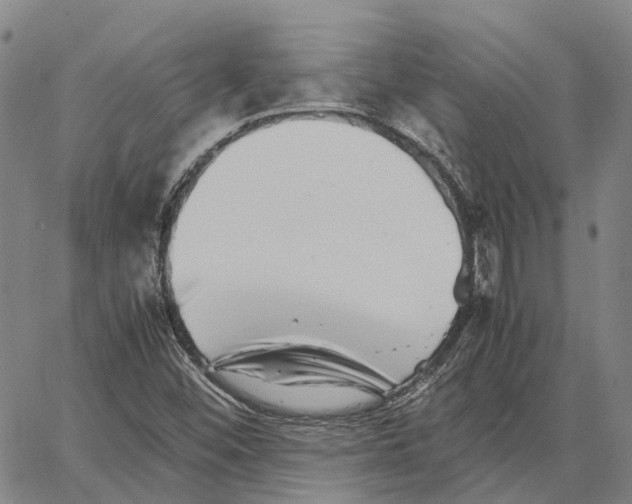 X0000062651452200601181758