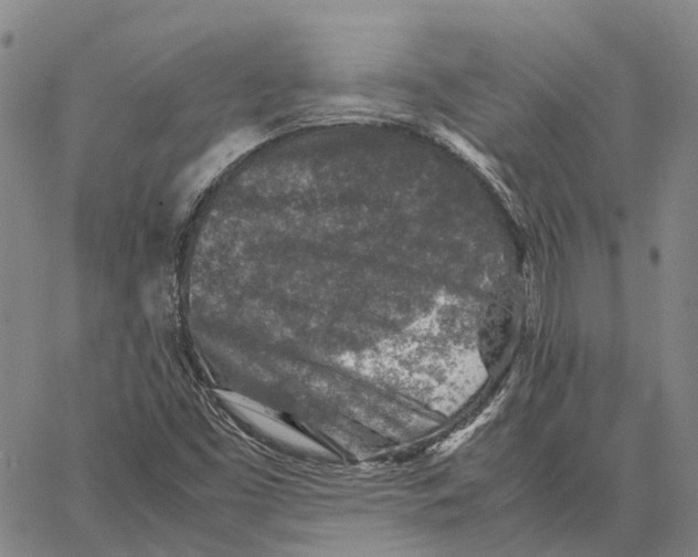 X0000062651453200601181758