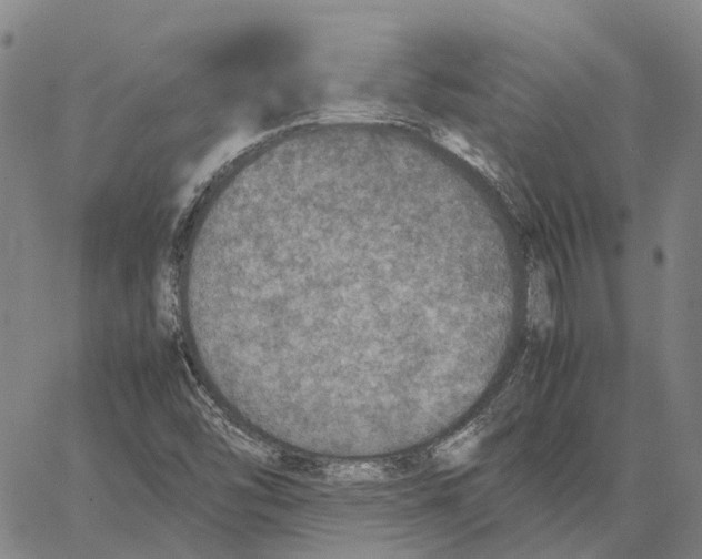 X0000062651454200601181758