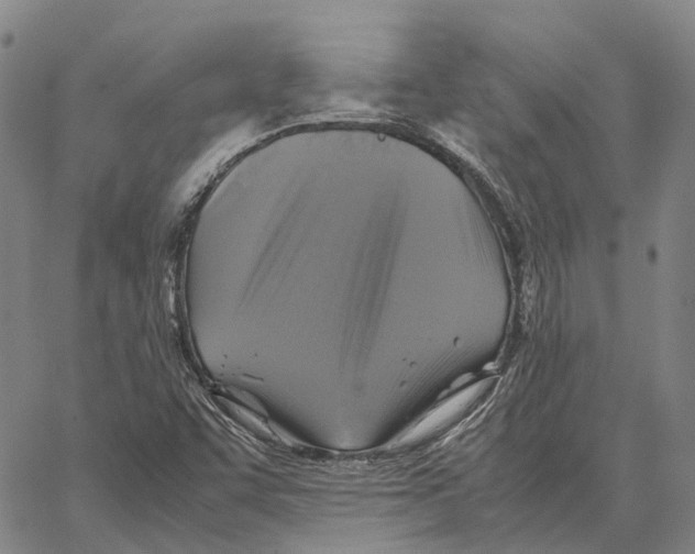 X0000062651455200601181758