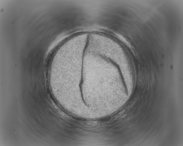 X0000062651456200601181758