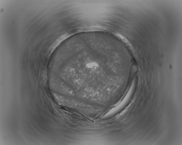 X0000062651457200601181758