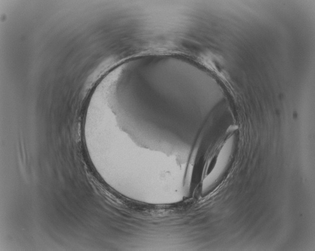 X0000062651459200601181758