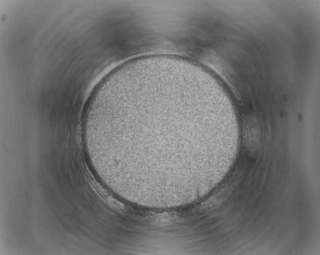 X0000062651460200601181758