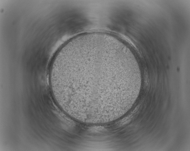 X0000062651462200601181758