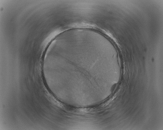 X0000062651463200601181758