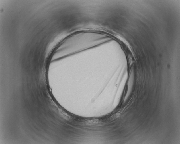 X0000062651464200601181758