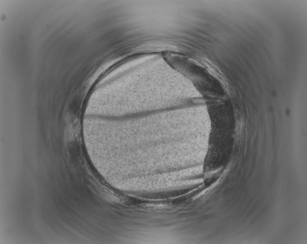 X0000062651465200601181758