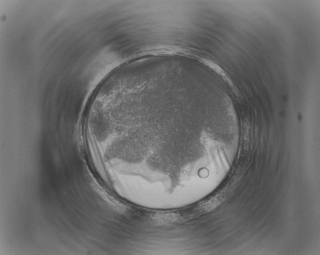 X0000062651466200601181757