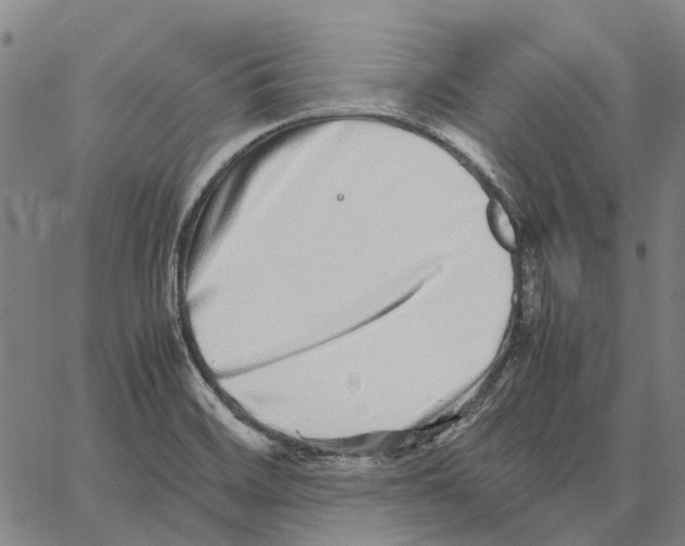 X0000062651468200601181757