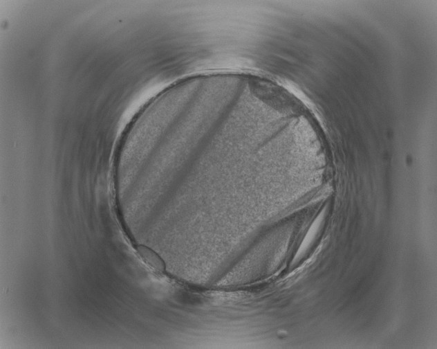 X0000062651469200601181757